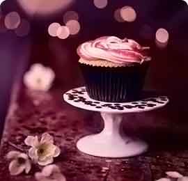 网站攻击软件工具